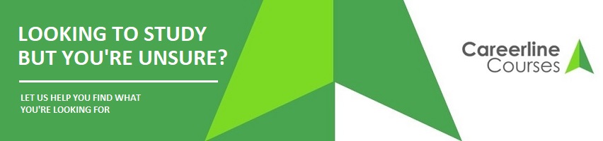 FAQ: What sort of Jobs/Career opportunities can I get out of this?