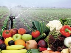 Organic Farming course