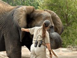 Zoo Keeping Course