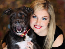 Dog Training Img 1