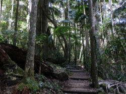 Adventure Tourism