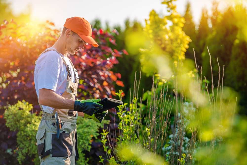 Outdoor plant production - market gardening.