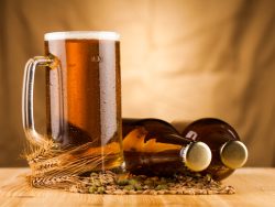 Fermented drinks