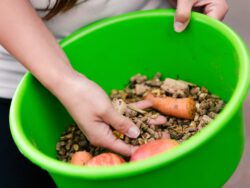 horse nutrition course online.