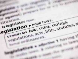 legal terminology defined.
