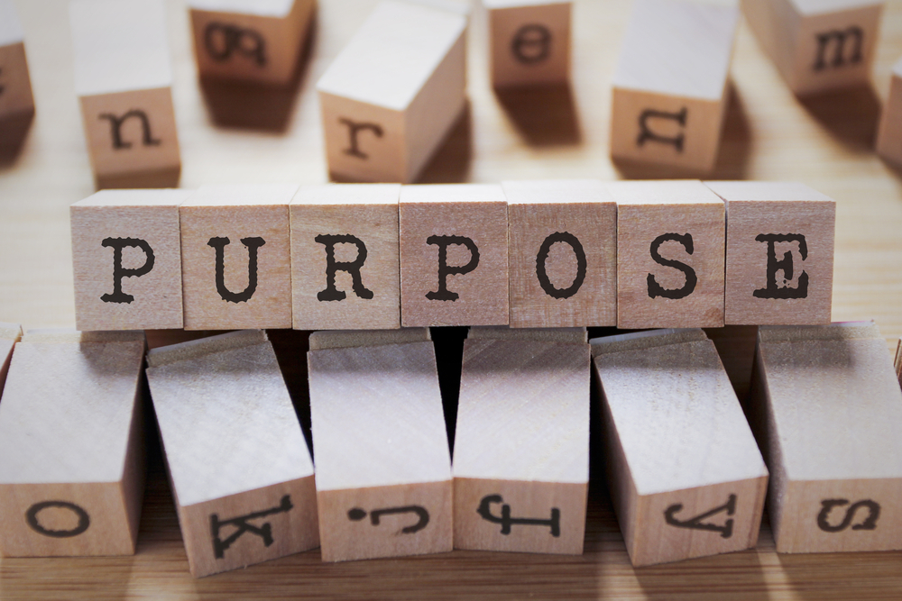 Purpose and learning.