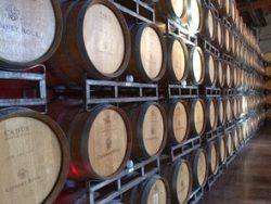Winemaking