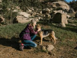Pet Therapy